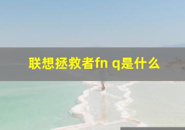 联想拯救者fn q是什么